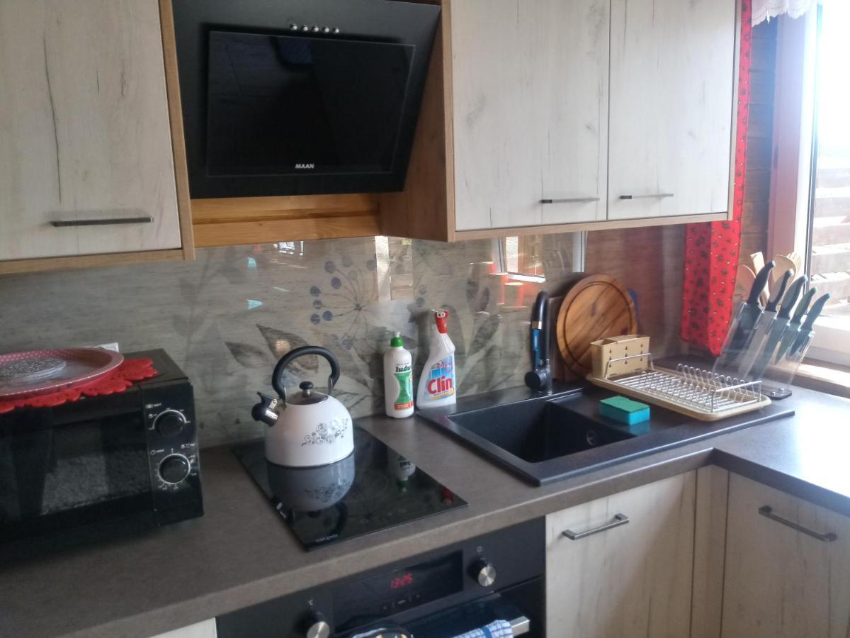 Domek Na Skarpie Zubrzyca Dolna Dış mekan fotoğraf