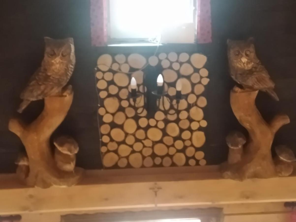 Domek Na Skarpie Zubrzyca Dolna Dış mekan fotoğraf